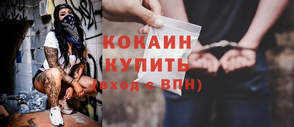 гашик Ладушкин