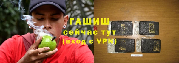 гашик Ладушкин