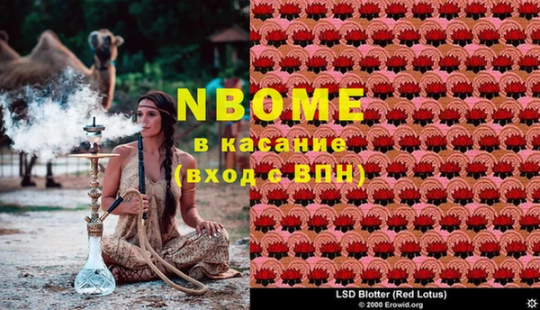 прущие крисы Лабытнанги