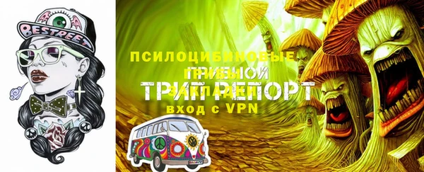 гашик Ладушкин