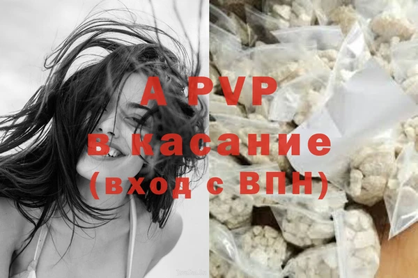 прущие крисы Лабытнанги