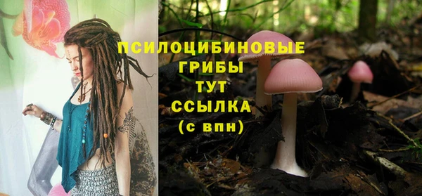 гашик Ладушкин