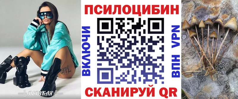 Псилоцибиновые грибы мицелий  Сусуман 